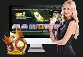 51winvn live casino